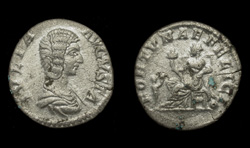 Julia Domna, Denarius, Fortuna Reverse
